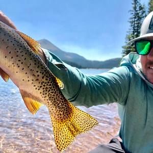 Meet your Posher, Kaleb